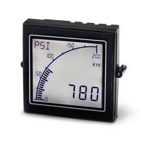 Digital Panel Meters